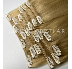 New Trend Natural Virgin Straight human hair extensions clip in Ins For salon